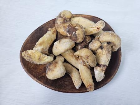 자연산 송이버섯 HB등급 5kg