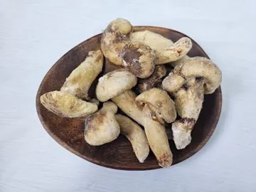 자연산 송이버섯 HB등급 5kg