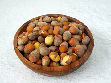 깐은행 햇은행 23년 수확분 1kg