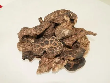 자연산 능이버섯 건조 A급 특품 100g 이미지