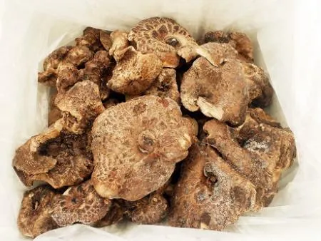 자연산 능이버섯 냉동 A급 특품 2kg