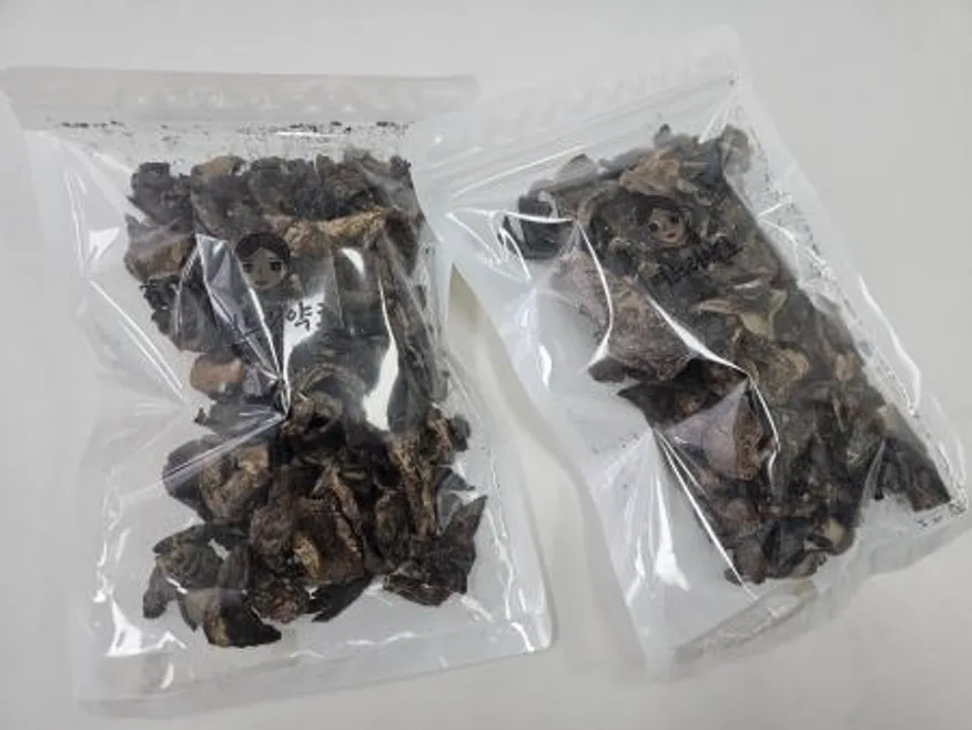 자연산 육수용 능이버섯 건조 100g 이미지