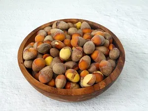 깐은행 햇은행 25년 수확분 5kg