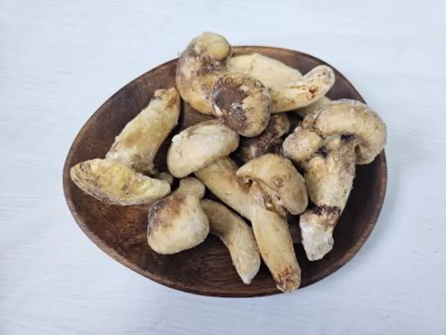 자연산 송이버섯 HB등급 2kg 이미지