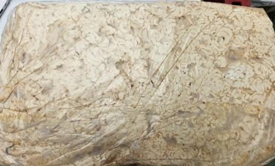 대구고니/17.5kg/미국,러시아 이미지