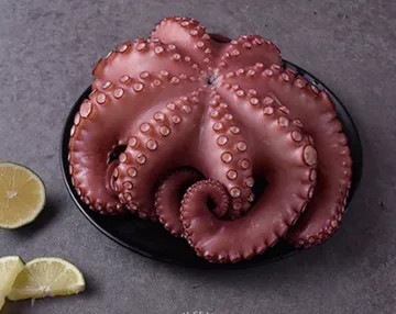 자숙문어/8미(8kg)/모리타니아산