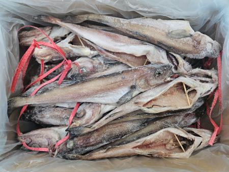 코다리/4코12미/러시아산