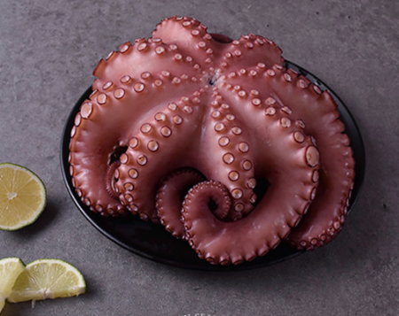 자숙문어/10미(8kg)/모리타니아산