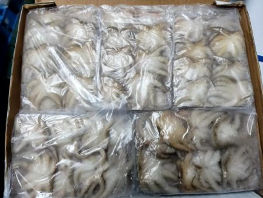 쭈꾸미/80-100/3.5kg(350g*10팩)/인도네시아 이미지