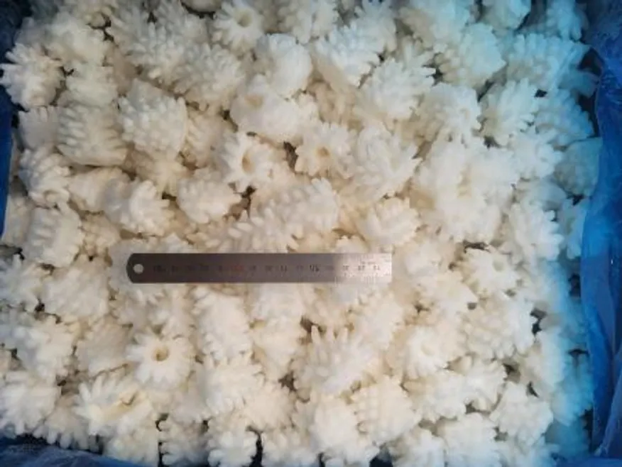 솔방울오징어/10KG/중국산 이미지