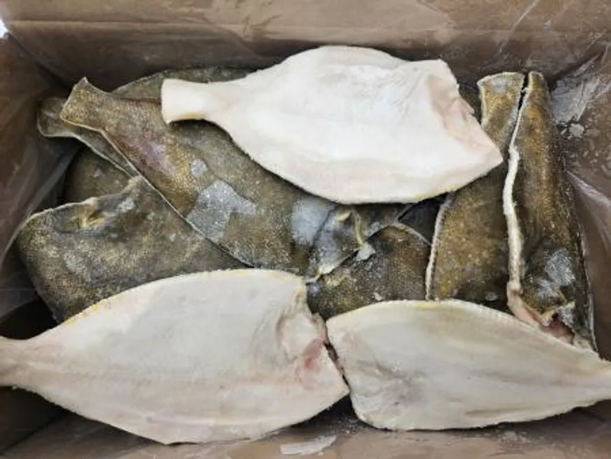 (두절)가자미/200-250 4.5kg 이미지