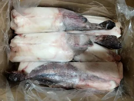 아구꼬리(1000업up/10kg/중국산