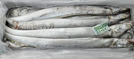 갈치/7.5kg 350-450(20미)/중국산