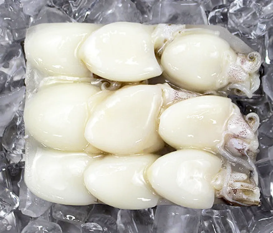 갑오징어/20-40/2.4kg(200g*12)/베트남산 이미지