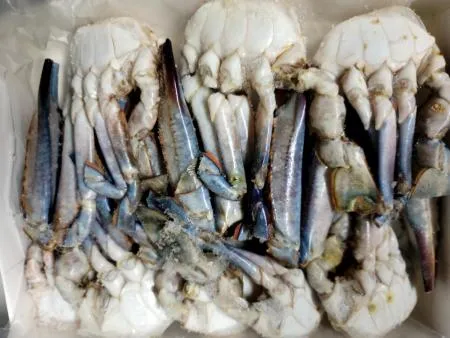 절단게/L사이즈/6kg(500*12팩)/튀니지산