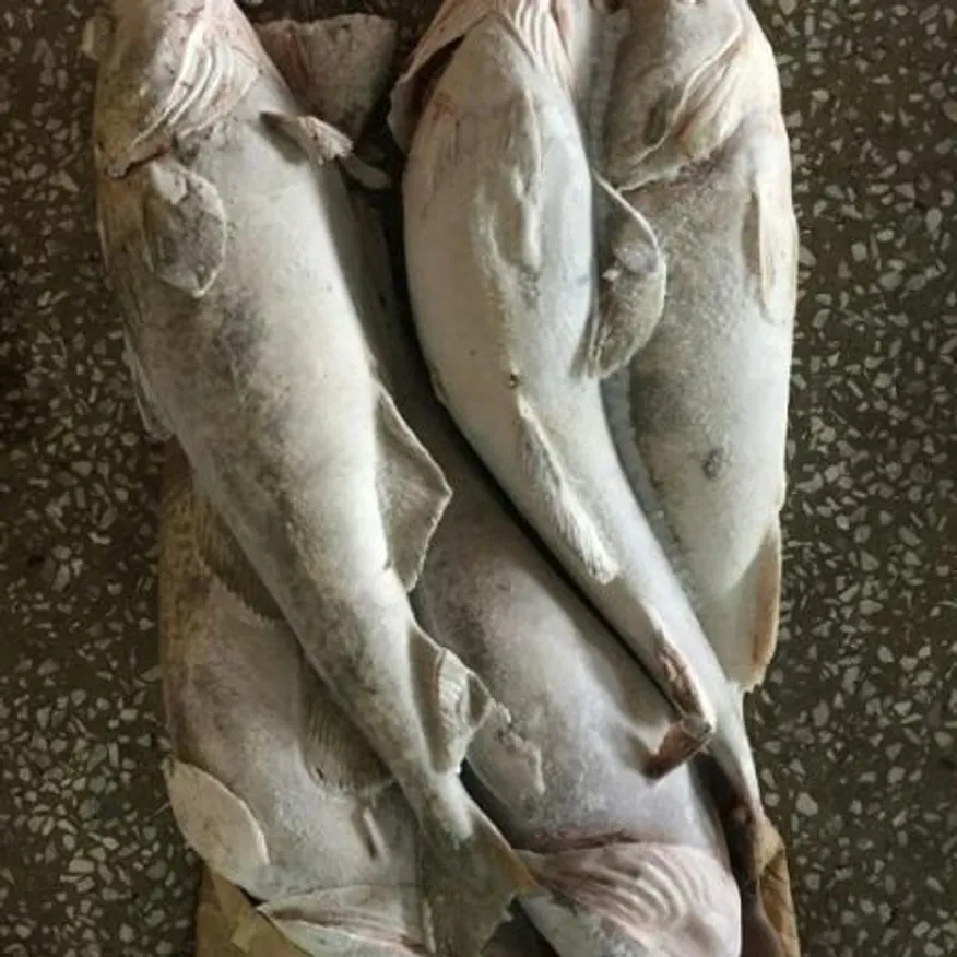 냉동대구/18.5kg/러시아산 이미지