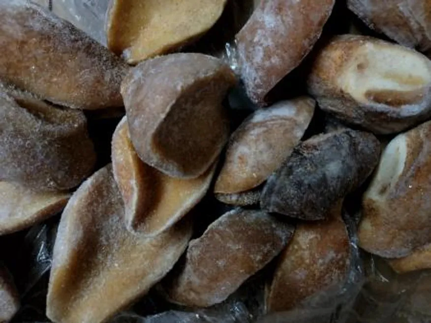 위소라/100-200/18kg/모리타니아산 이미지