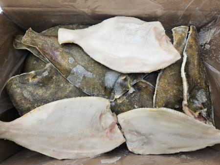 (두절)가자미/100-150 4.5kg