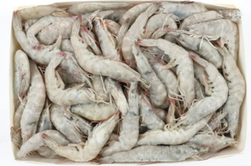 에콰새우/40-50(2kg*6)/사우디(원산지) 이미지