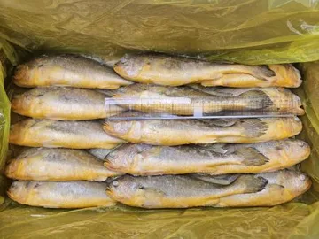 조기부서/15미(200-300)/3.4kg/중국산