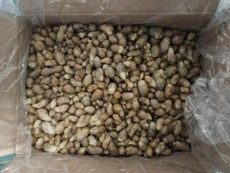 냉동/만디(A급)10kg/국내산