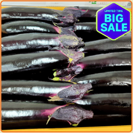 ★입점 특가★ 가지 5kg 박스 (상 / 국내산)