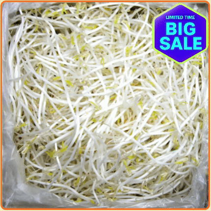 ★입점 특가★ 숙주 3.5kg BOX (수입콩 / 국내제조)