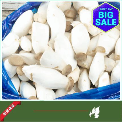 ★입점특가★ 총알 새송이(새송이버섯) 2kg 박스 (소 / 국내산)