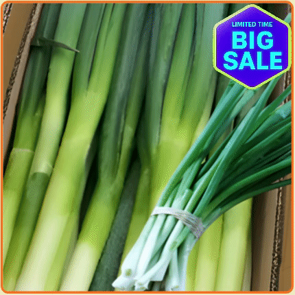 ★입점 특가★ 깐대파 10kg 묶음 (손질 / 껍질제거 / 국내산)