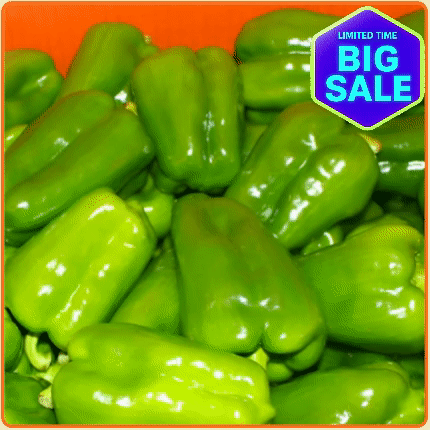 ★입점 특가★ 청피망 10kg 박스 (상 / 국내산)