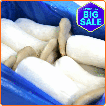 ★최저가 보장★ 새송이(새송이버섯) 2kg 박스 (상 / 국내산)