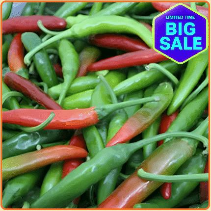 ★입점 특가★ 청양고추 1kg 봉 (상 / 국내산)