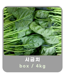 작은 이미지 21