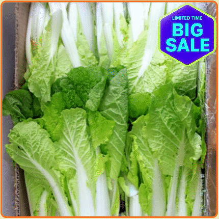 ★입점특가★ 얼갈이 4kg 박스 (국내산)