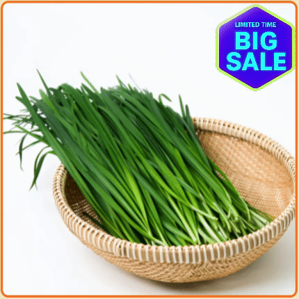 ★입점특가★ 부추 1단  (특A / 국내산)