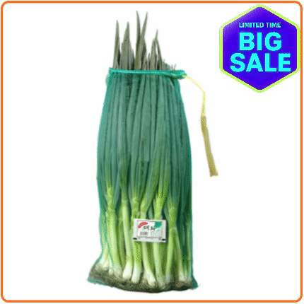 ★입점특가★ 흙 대파 10단 묶음 (국내산)