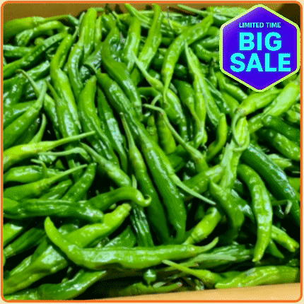 ★최저가 보장★ 꽈리고추 4kg 박스 (상 / 국내산)