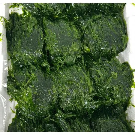 ★입점 특가★ 물파래 2kg BOX (완도산 / 국내산)