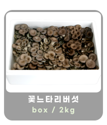 작은 이미지 26