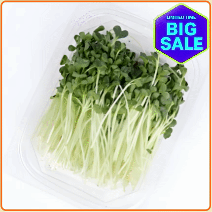 ★입점특가★ 무순 150g 팩 (중 / 국내산)