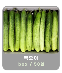 작은 이미지 16
