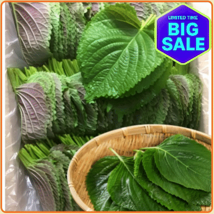 ★입점특가★ 깻잎(찹찹이 깻잎) 2kg 박스 (국내산)