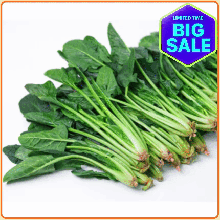 ★입점특가★ 시금치 1단   (국내산)