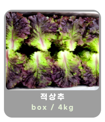 작은 이미지 18