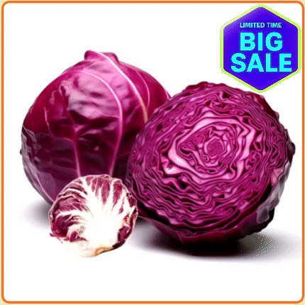 ★입점특가★ 적채(적양배추) 1통  (국내산)