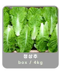 작은 이미지 19