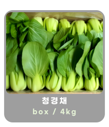 작은 이미지 23