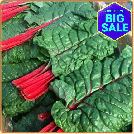 ★입점특가★ 적근대 2kg 박스 (국내산)