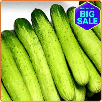 ★최저가 보장★ 백오이 10kg 내외 박스 (상 / 50입 / 국내산)