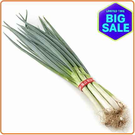 ★입점 특가★ 흙 대파 1단 EA (국내산)